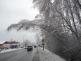 13-03-19 HK směr Koliba