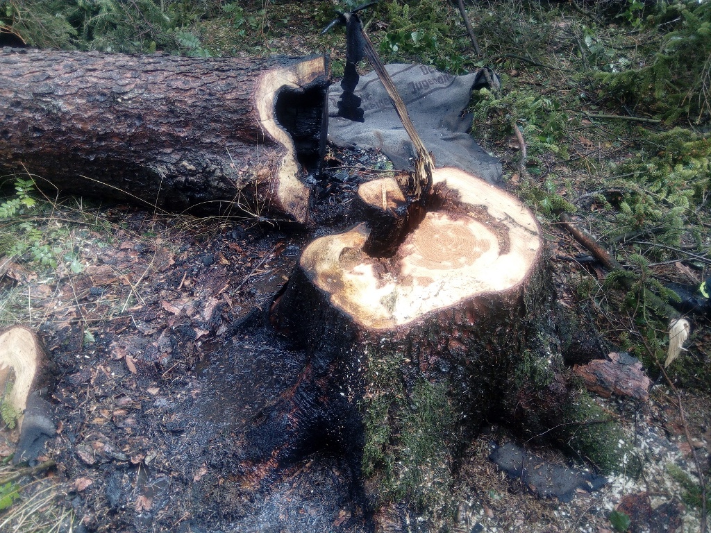 13.8.2017 (KT 13.00) požár Klenová.jpg