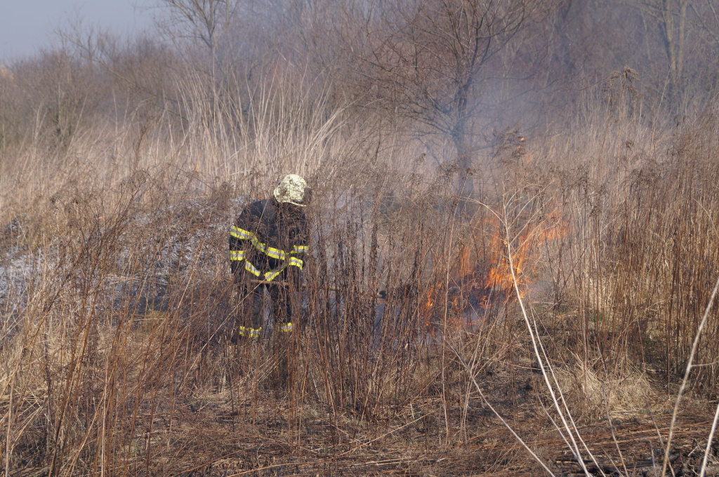 14-03-14 HK, Kydlinovská ulice.JPG