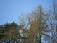 14 SAM_3826
