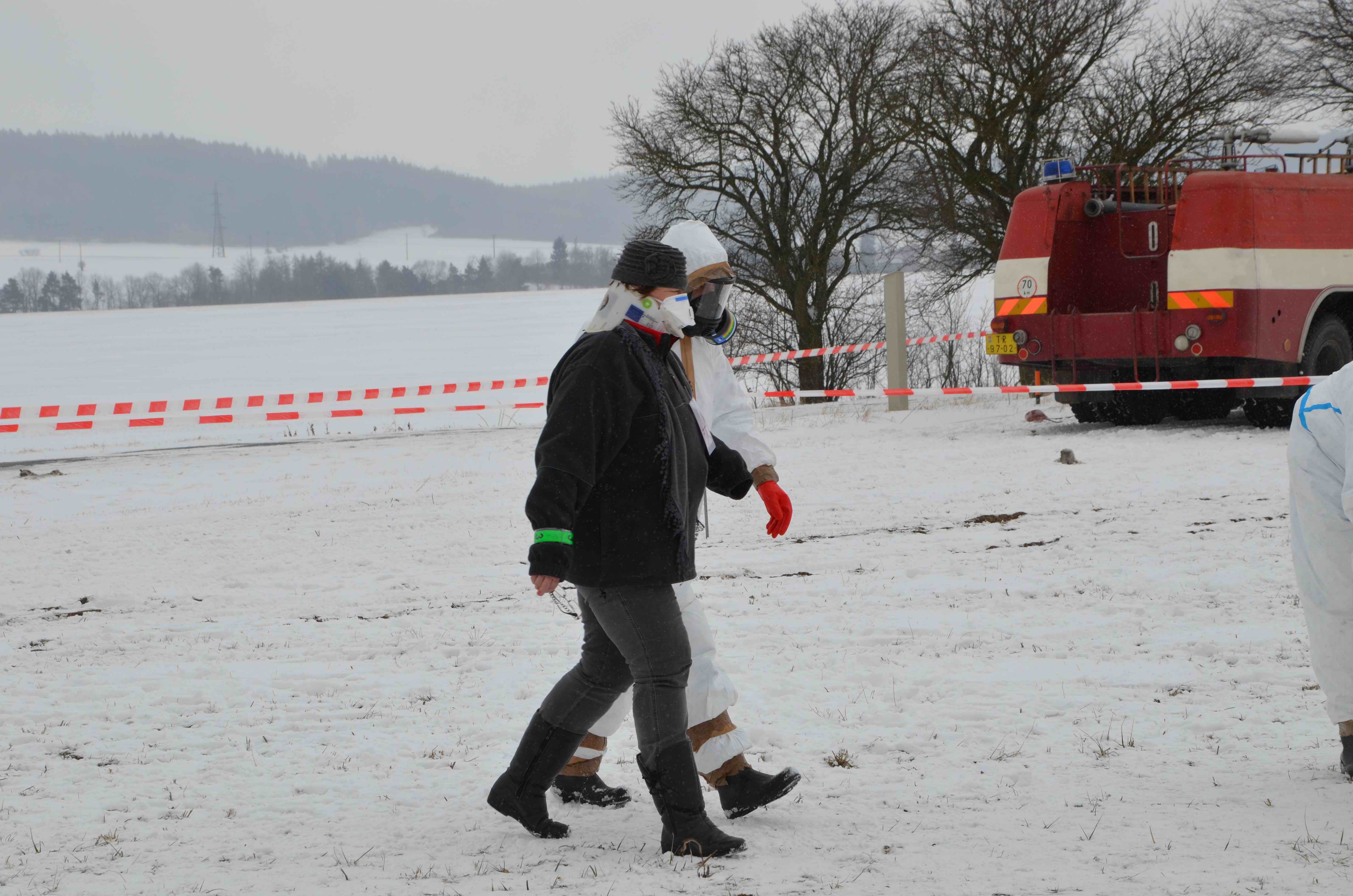 16 DSC_0186.jpg