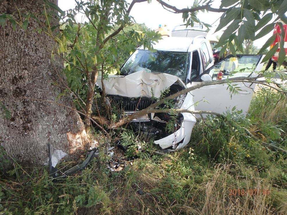 16_7_ DN se zraněním Lovčice (2).JPG