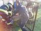 17-04-30 Trutnov (3)