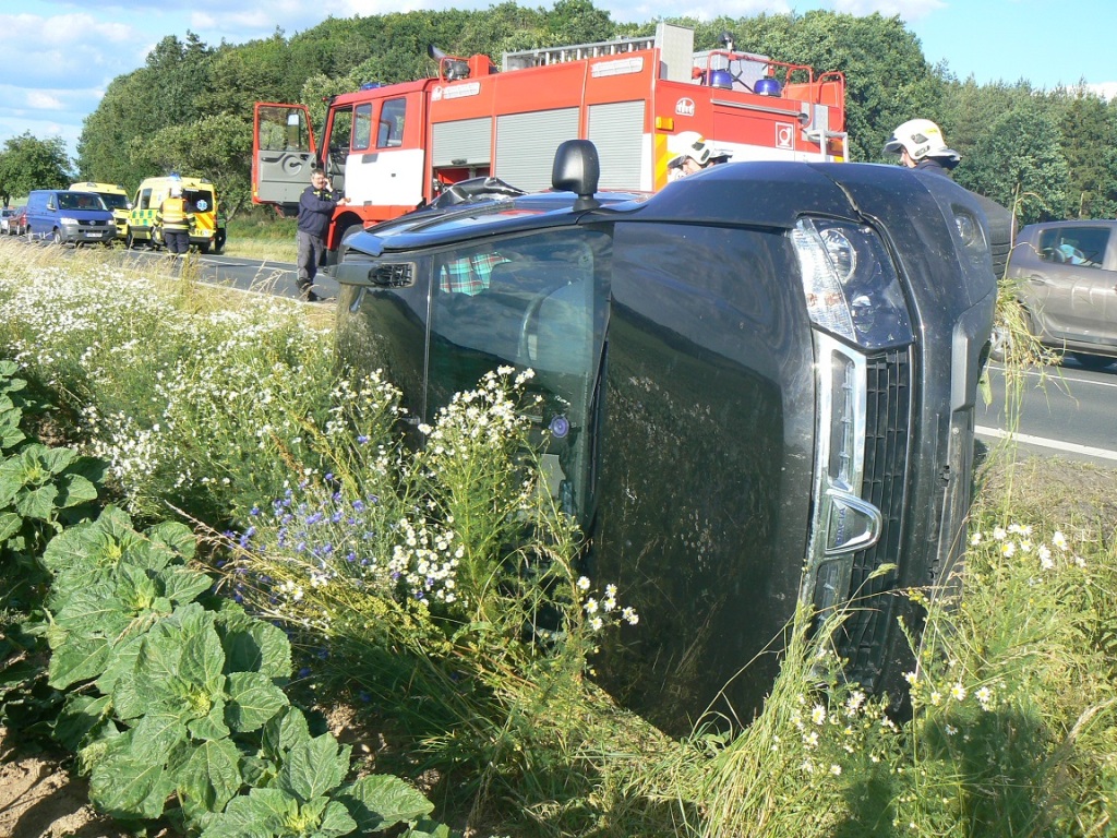 17.6.2017 (DO 18.15) DN Holýšov.JPG