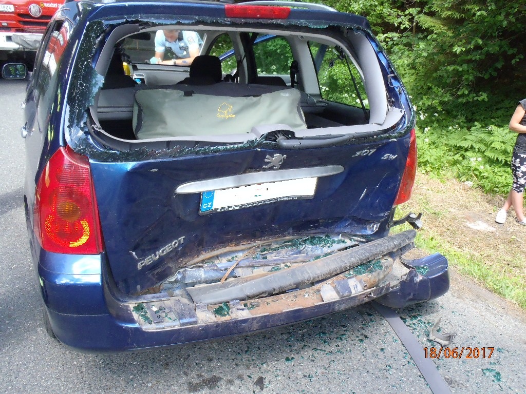 18.6.2017 (KT 14.18) DN Opolenec.JPG
