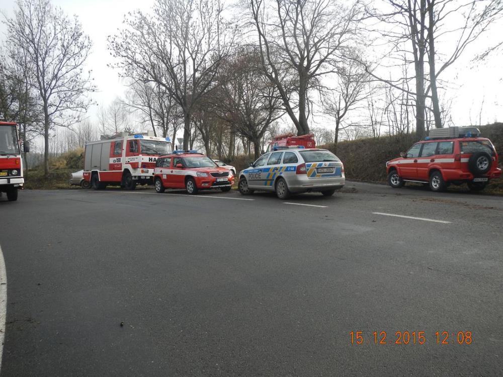 2 Stádo býků, Borotín - 15. 12. 2015 (4).jpg