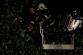 2 strom_02