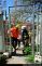 20120427A_Kost6