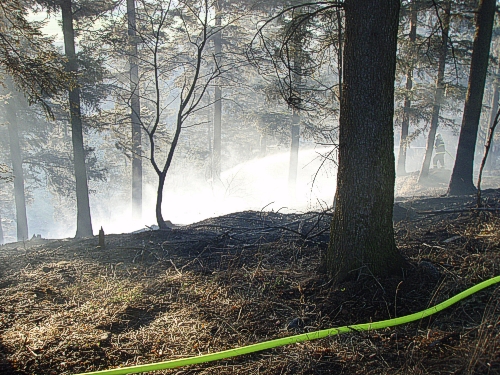2012_04_29_pozar_les_Dobesov_06m.JPG