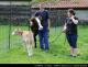 20130512C_krava_Kr09