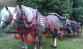 20130525_100letcekyne04