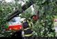 20130611C_chotkova_Kr003