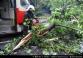 20130611C_chotkova_Kr004