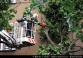 20130611C_sarecka_Kr003