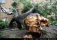 20130611C_sarecka_Kr004