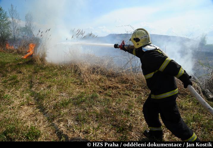 20140420A_porost_Kostik06.JPG