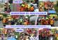 20140528_Rafex_nehoda1.jpg