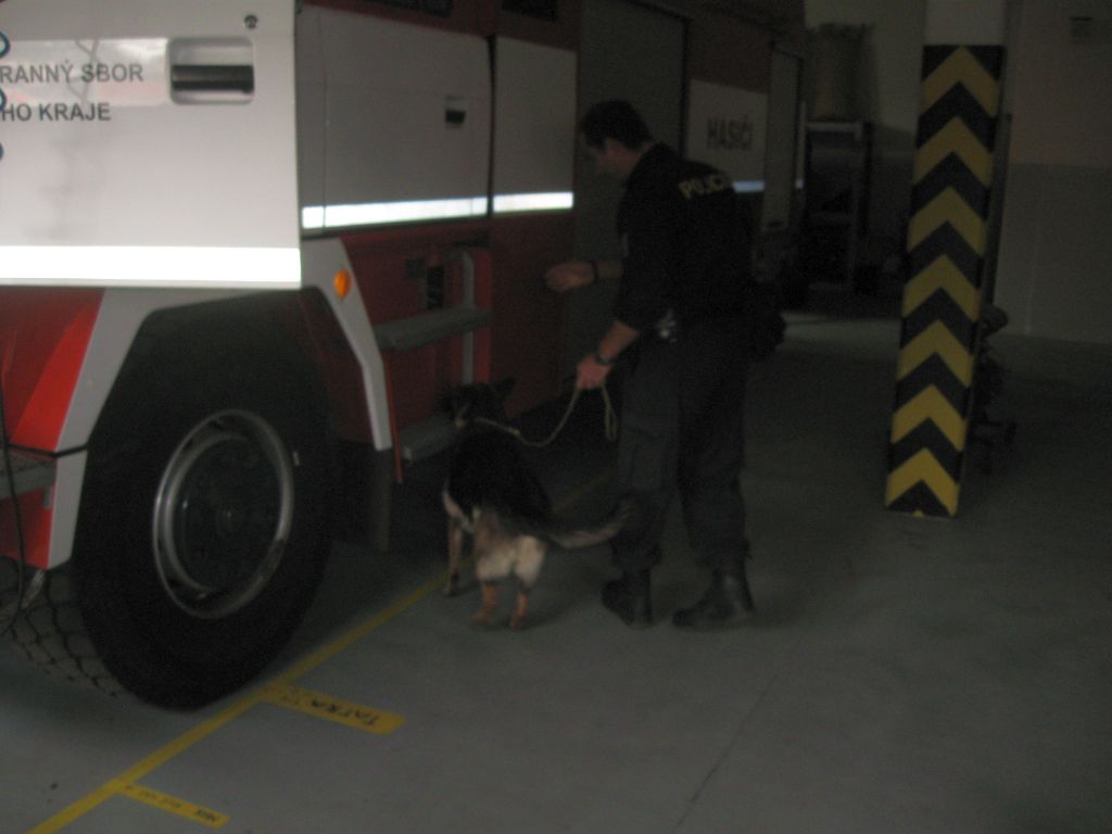 20141106_psovodi07.jpg