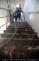 20150514C_strecha_Kr009