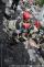20150618_USAR_068