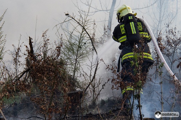 2015_04_19 Pozar lasa Teskovice 10m.jpg