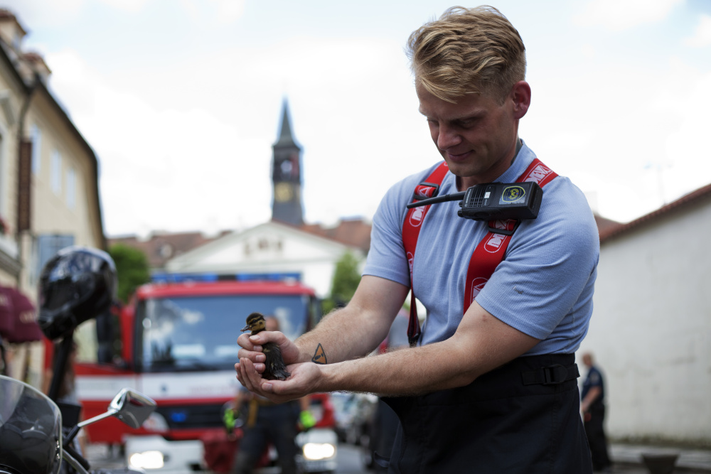 2016-07-01 zachrana_kacatka.jpg