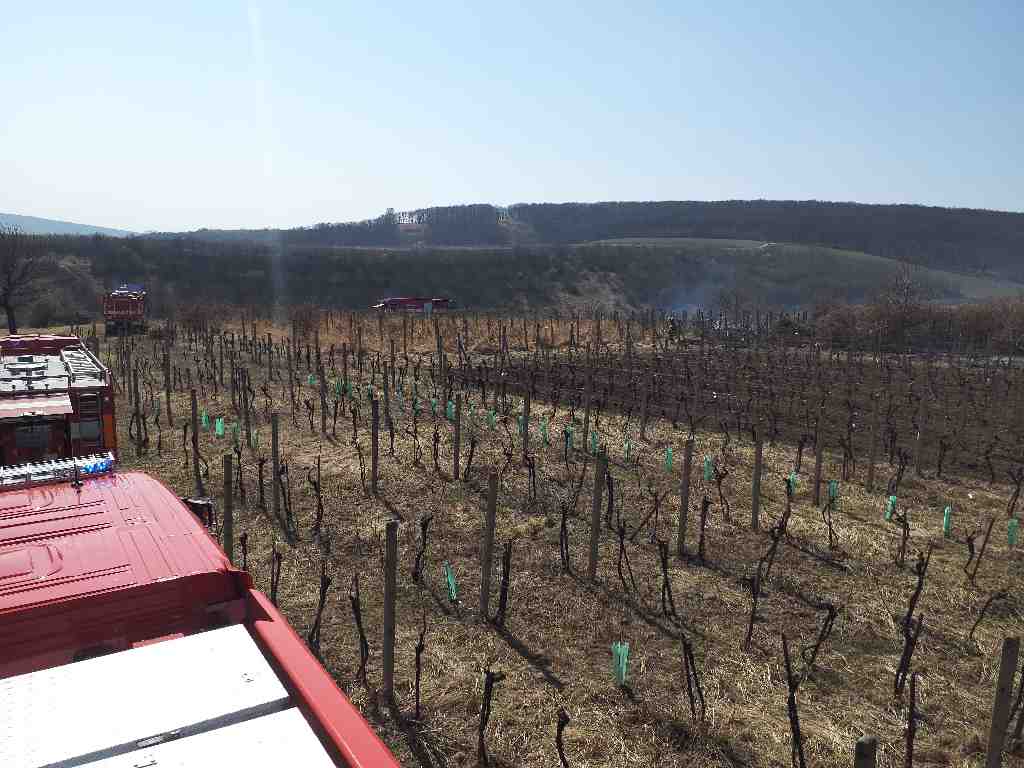 2022-03-25-požáry v JMK/Břeclavsko_2.jpg