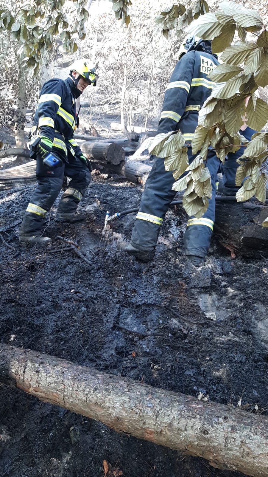 2022-07-31 at 08.28 Požár v NP České Švýcarsko