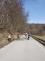 2026-03-14 strom Vysočany