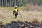 2026-04-12 P lesa Doubravice nad Svitavou (5)