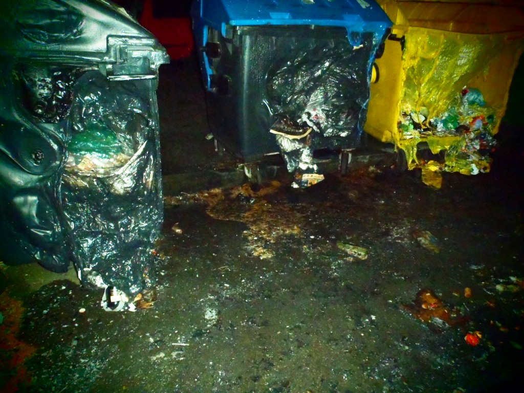 28.12.2016 (PM 4.05) požár popelnic Plzeň.JPG