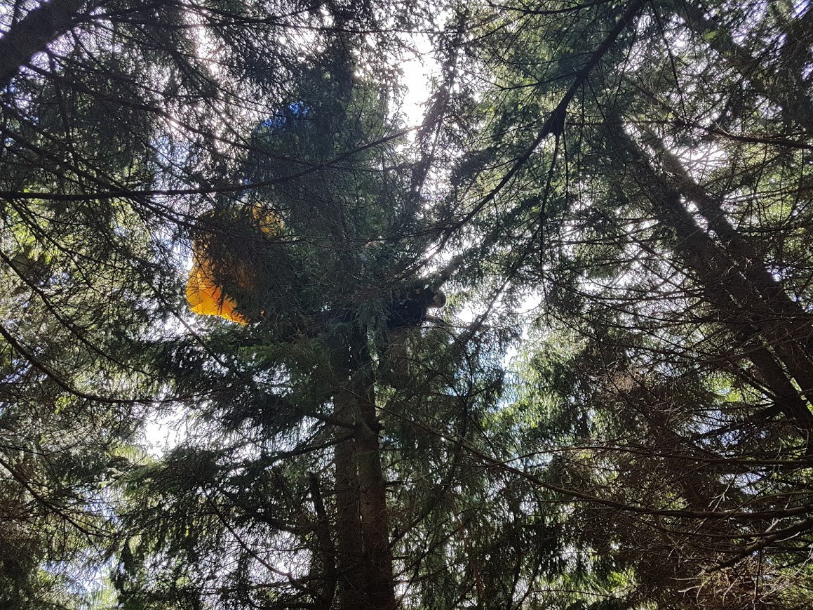 28.6.-foto-hasiči horní maršov1.jpg
