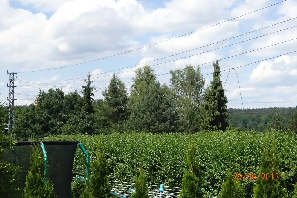 29.6.2015