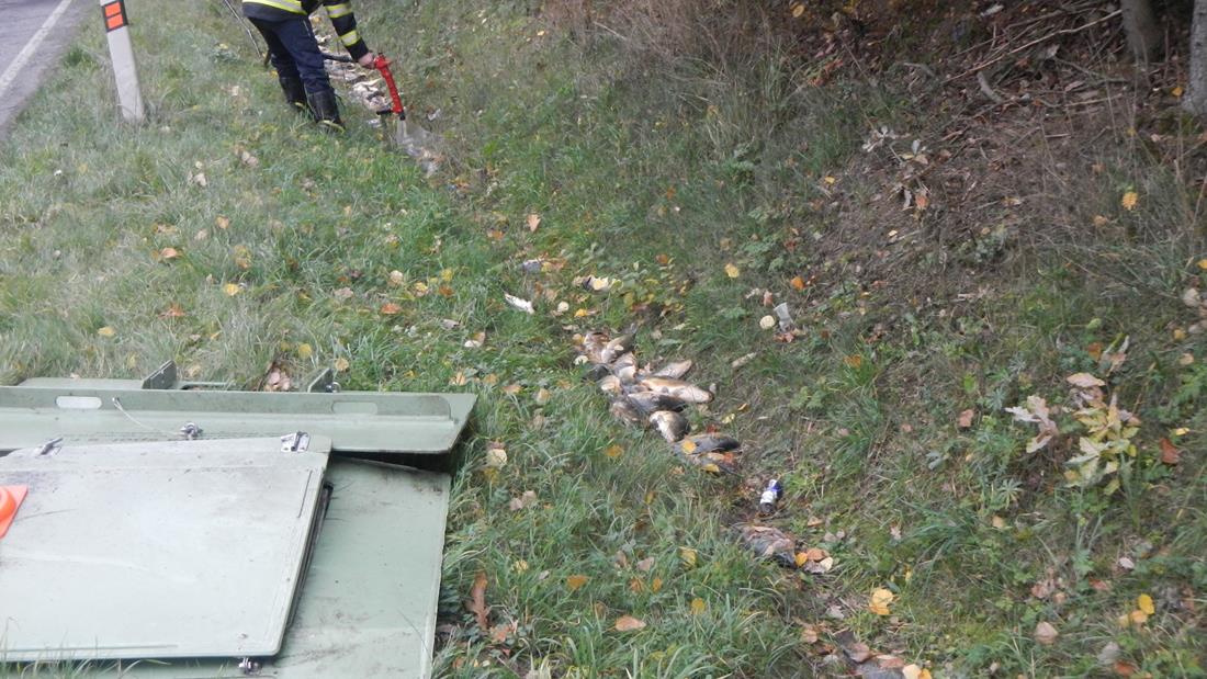 3 Dopravní nehoda OA - ryby, Varvažov - 30. 10. 2015 (1).JPG
