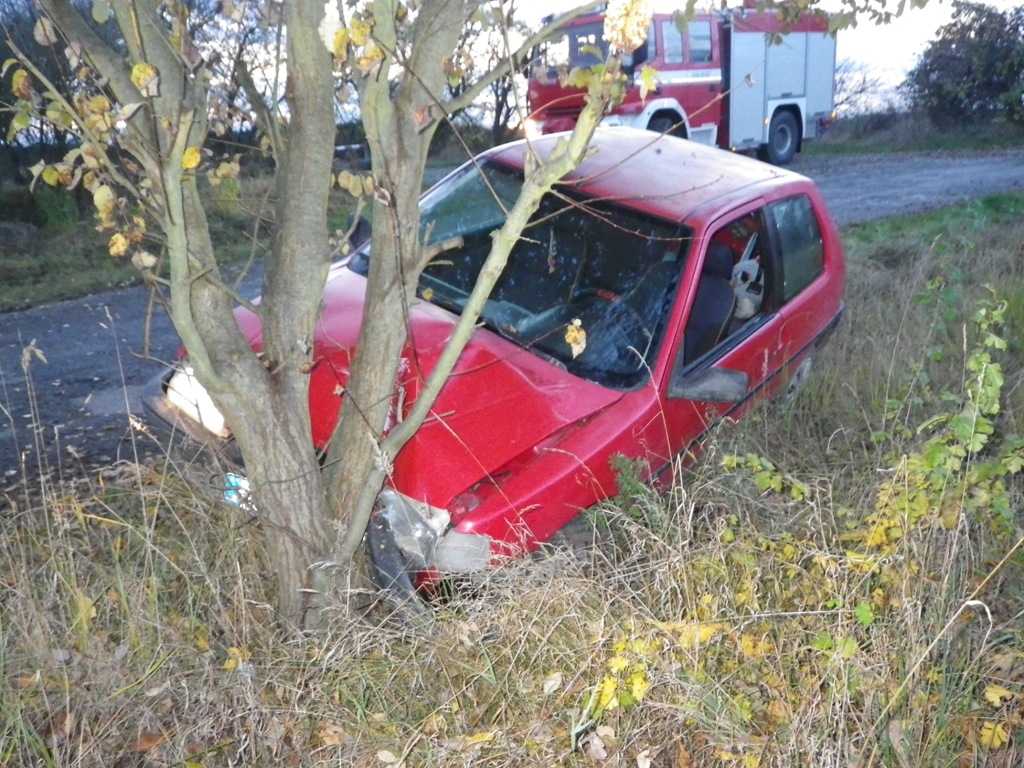 3.11.2016 (PS 16.32) DN Nýřany, Humboltka.JPG