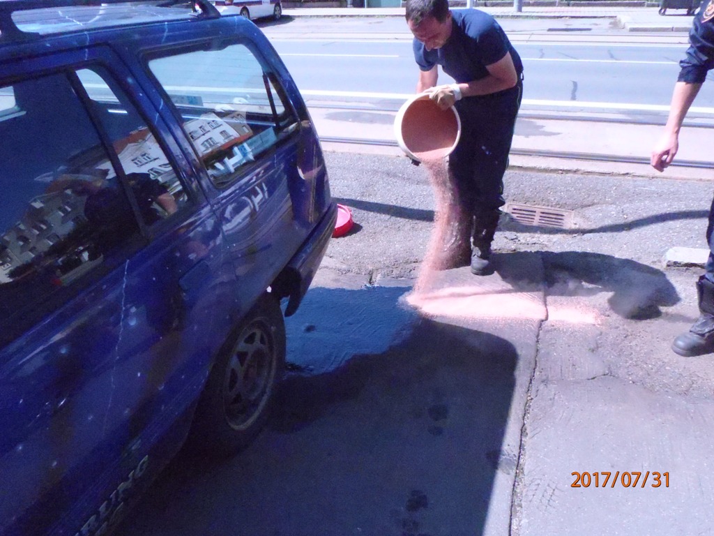 31.7.2017 (PM 11.35) UNL Plzeň.JPG