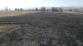 4 Požár trávy, Horní Dvořiště - 13. 3. 2014 (5)