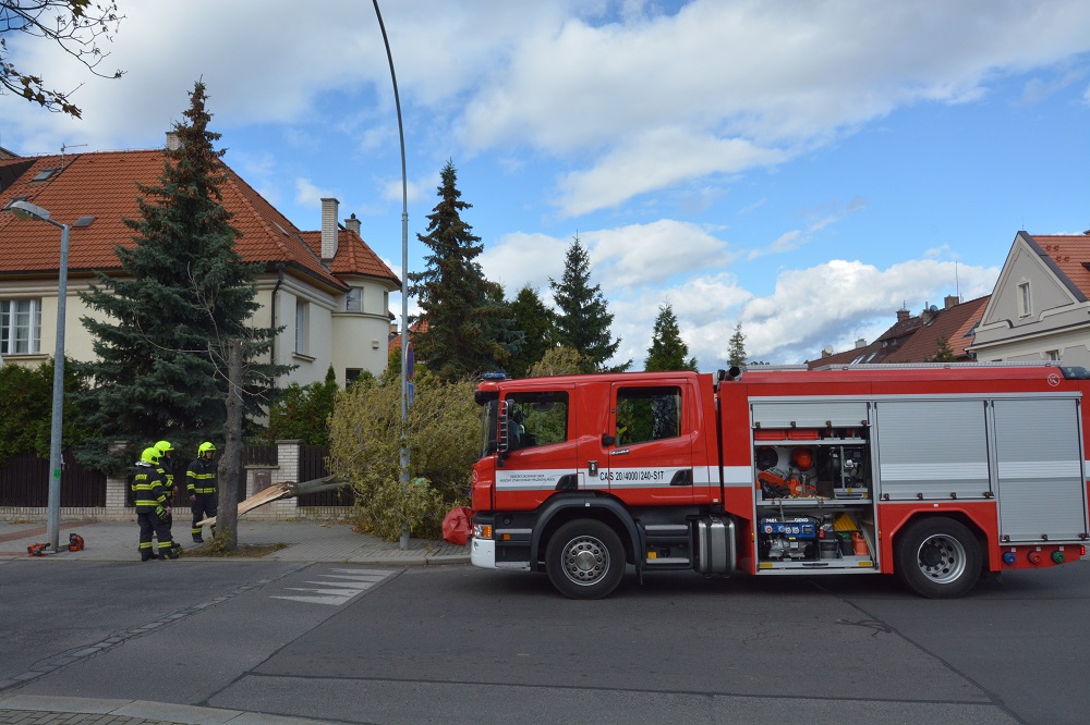 4 Spadlý strom Ořechovka