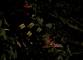 4 strom_04