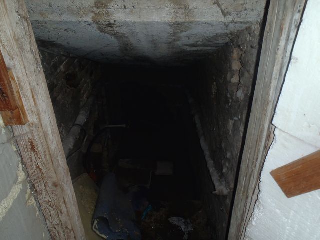 58.JPG
