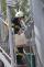 65 DSC08765