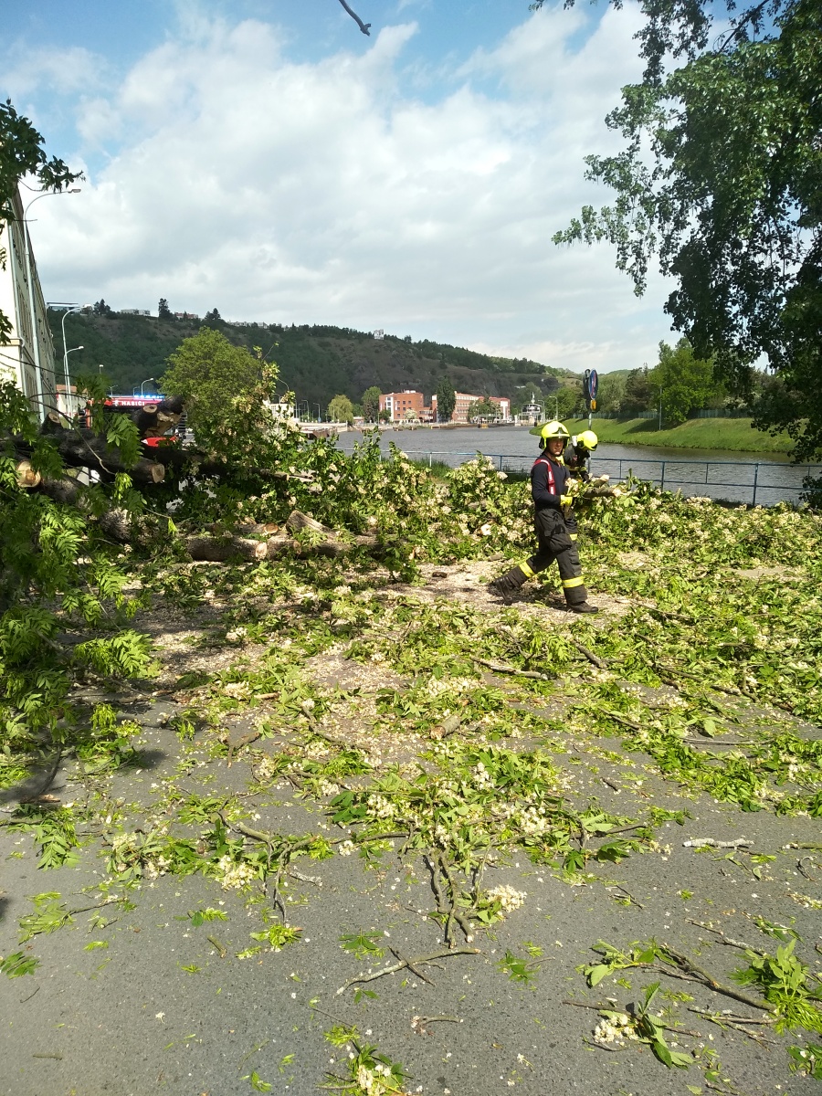 7 Strom přes cestu