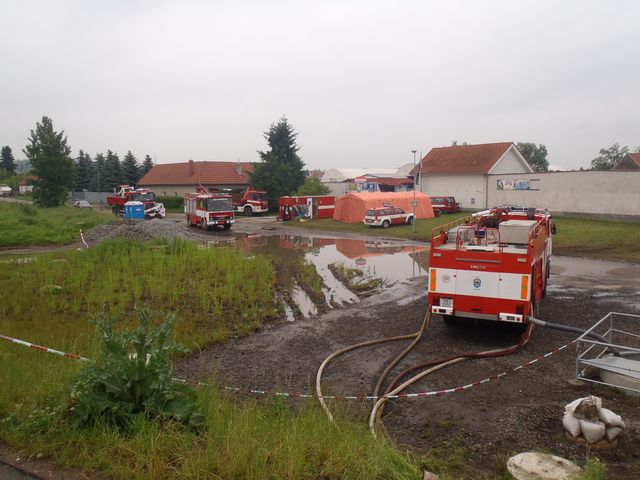 75.JPG