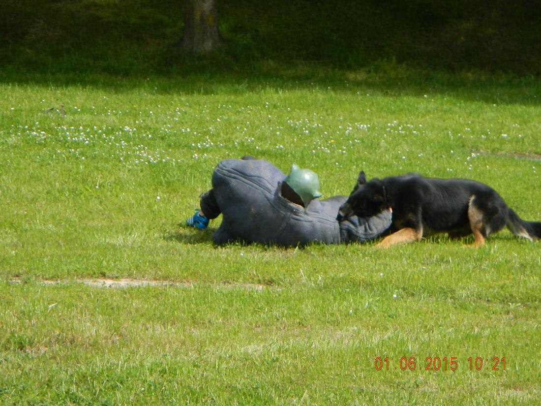 8 Dětský den, Trhové Sviny - 1. 6. 2015 (8).JPG