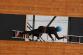 8 IMG_9851
