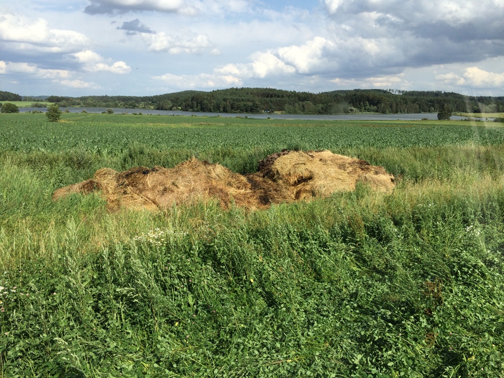 8.7.2015 požár Myslív.JPG