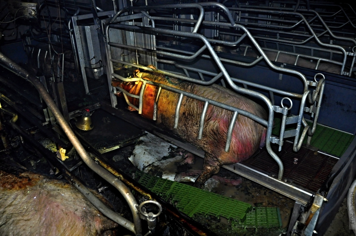 9 28-2-2013 Požár zemědělskéhobjektu Velký Týnec (9).JPG