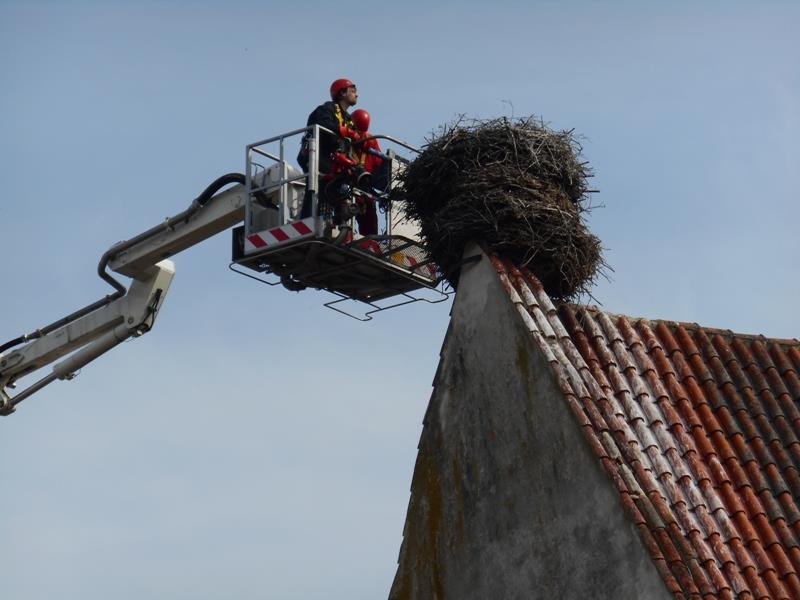 9 Záchrana čapích vajec, Dubné - 11. 4. 2015 (7).jpg