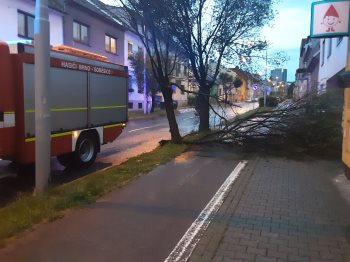 Brno-Žabovřesky.jpeg
