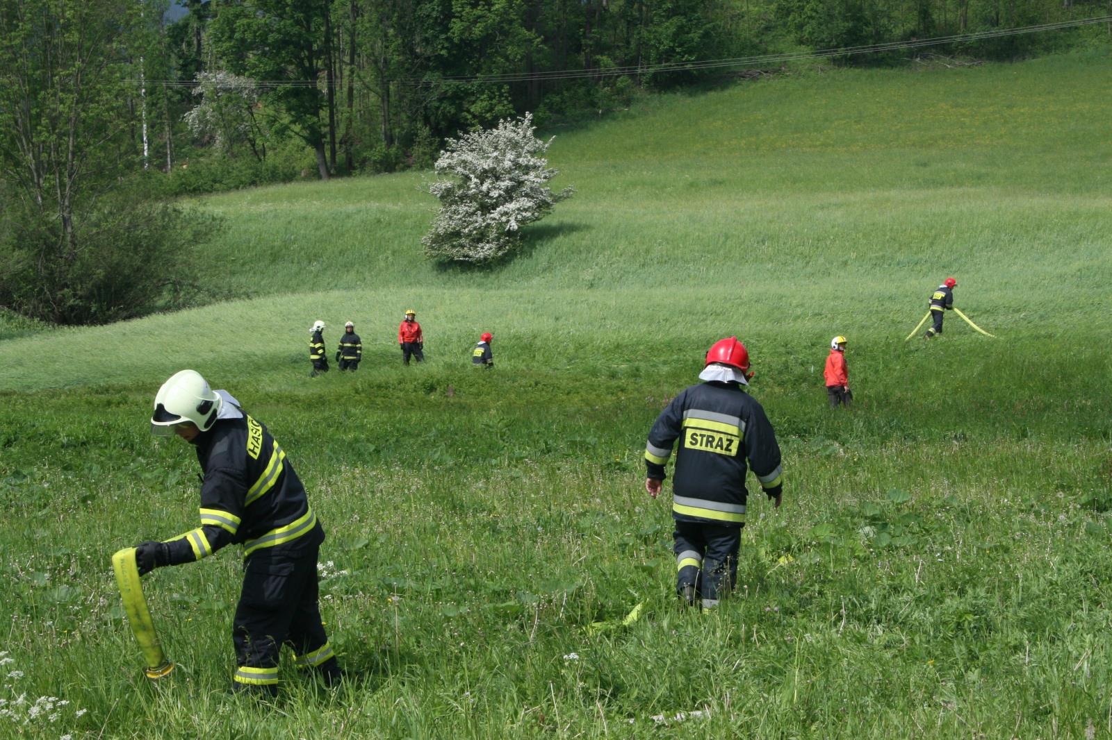 CV_forest fire